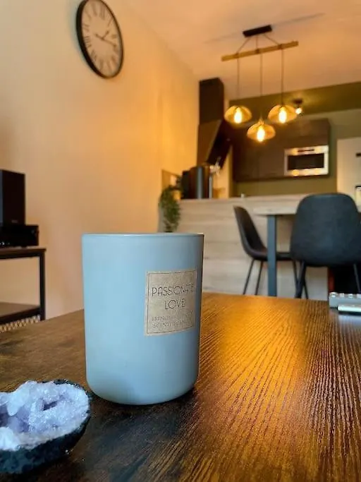 L'Ovalie Appartement T2 Climatise Et Jardin Tolosa Appartamento